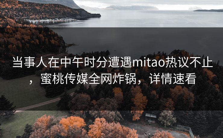 当事人在中午时分遭遇mitao热议不止，蜜桃传媒全网炸锅，详情速看