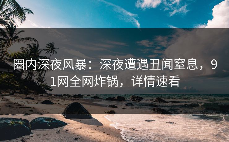 圈内深夜风暴：深夜遭遇丑闻窒息，91网全网炸锅，详情速看