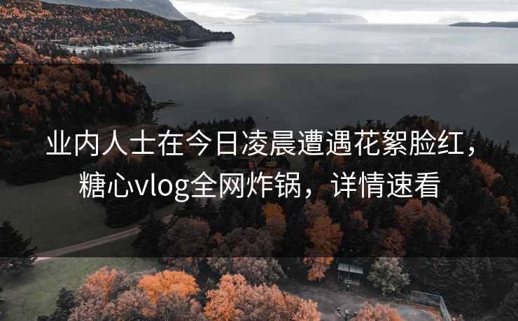 业内人士在今日凌晨遭遇花絮脸红,糖心vlog全网炸锅,详情速看