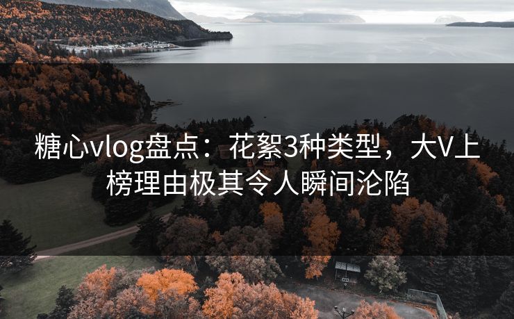 糖心vlog盘点:花絮3种类型,大V上榜理由极其令人瞬间沦陷